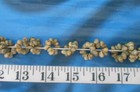   Mongo Snail Shells   Green yellow   Drilled   Threaded   Sailor s Valentines  