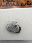 Tindouf 007 Iab Iron Meteorite End Cut 3 117g Etched Rare