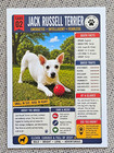 Jack Russell Terrier - Cute Dog Puppy Custom Art Aceo Collectible Trading Card