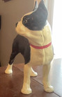 Vintage Cast Iron Door Stop  Boston Terrier Dog  Black   White  10    Tall