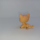 Littlest Pet Shop Shorthair Cat  1764 Rare Green Eyes Orange Strip Lps