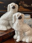 Beautiful 19c White English Staffordshire Spaniel Royal Hunt Mantle Dog Pair 9   