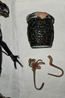 Neca Ultimate Alien Warrior Brown Figure Aliens Complete Authentic Xenomorph