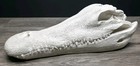 American Crocodile Skull Replica Decorative Sculpture - 20  Crocodile Head