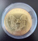 2014 American Silver Eagle Coin 1oz Fine Silver Gold Toned Coin