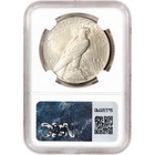 1926 Us Peace Silver Dollar  1 - Ngc Brilliant Uncirculated