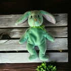 Vintage From The 1990s 1996ty Beanie Baby Hippity Extremely Retired Pe    