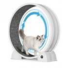45  Large Cat Exercise Wheel With Pedometer - Indoor Fitness For Weight Loss