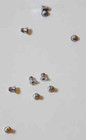 20 Pcs Bottom Screw For Macbook Air Pro Retina A1425 A1398 A1370 A1465 A1502