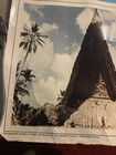 Original 1960   s Papua New Guinea Travel Poster Anset Airlines 29   x 35   in