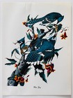 1979 Blue Jay Color Plate Print Audubon Birds Of America Vintage Art F15l