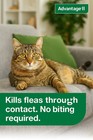 Advantage Ii For Large Cats 6 Doses   Flea Treatment 9 Lbs    Fast-acting   Free