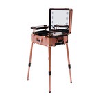22  Rolling Makeup Case W  Mirror   Led Light Cosmetic Box Trolley Organizer 