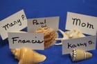 Beach Theme Reception Dinner Party Seashell Place Card Holders  Guest Name Ss-85