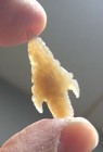 L Neolithic Gem Point  Arrowhead Nw Sahara Desert 