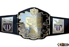Awa World Heavyweight Wrestling Championship Replica Title Belt 4mm Zinc Adult