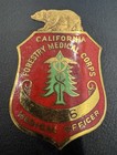 Rare  Antique  California  Forestry Medical Corps  Medical Officer  Badge