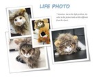Cute Lion Mane Cat Wig Small Dog Cats Costume Lion Mane Wig Cap Hat For Cat Dogs