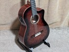 Cordoba Fusion 12 Exotic Top Nylon Classical Acoustic-electric Guitar   issue