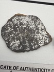 Canyon Diablo Graphite Nodule Meteorite Full Slice 22 1 Grams Highly Shocked