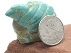 Turquoise Eagle Bird Zuni Fetish Stone Carving By Clayton And Abby Quam Panteah