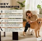 Bark Rx Dog Knee Brace For Hind Leg - Adjustable - Large