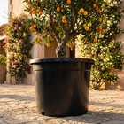 25-gallon Heavy-duty Nursery Pots     Maximum Root Space For Maximum Growth