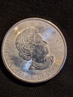 2017 Canada 1 25 Oz Silver  8 Bison  abrasions  Has Milky Spots
