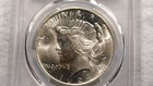 1924 P Peace Silver Dollar Pcgs Ms62 Uncirculated  1 Coin Buy It Now 