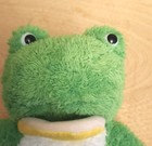 Green Frog Dan Dee Hand Puppet Stuffed Animal Plush Collector s Choice Tested