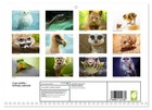 Cute Wildlife   Birthday Calendar  monthly Wall Calendar 2026 16 5 X 23 4  open 
