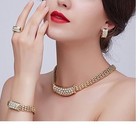 African Jewelry Set wedding gold Plated Crystal Necklace ring bracelet earing16
