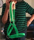 Padded Cattle Halters Bull  Cow  Yearling  Calf  Newborn Nylon Halter Carter Pet