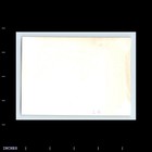 Old Vintage Photo Shirtless Men Playing Volleyball