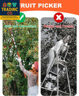 26ft High Reach Fruit Picker With Basket Telescoping  5-20 Foot Heavy Duty Sturd