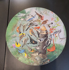 Vintage 1970 Springbok Circular Puzzle   familiar Birds  -  20-3 8  - Complete