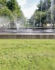 National Memorial Park Burial Plots Falls Church  Va Block T  Sites 1-4