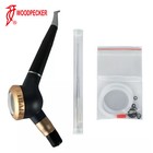 Woodpecker Dental Air Polisher Ap-h L Plus Supragingival Subgingival Handpiece
