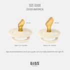 Bibs Pacifiers 0-6 Months 2-pack Soothers Anatomical Nipple Bpa-free Natural