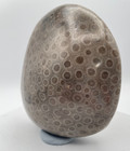 1 Lb  2 Oz  Large  Dark Color  Polished Petoskey Stone  Petoskey  Mi