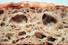 Original Wharf San Francisco Sourdough Starter Yeast Bread Flour Very Active  