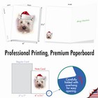 20 Merry Christmas Cards  10 Designs  2 Each  - Handsome Dogs Am3497xsg-b2x10