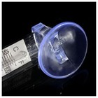 Fish Tank Aquarium Thermometer Glass Mount Suction Cup Floating Temperature 5pcs