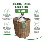 Tiny Paws Jumbo Willow Tunnel  For Guinea Pig  Rabbit  Bunny  Toys  Hideout T   