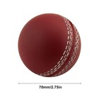Cricket Ball Sports Wind Cricket Balls Sports Wind Indoor Outdoor Soft Realistic