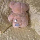 Vintage Eden Bear Plush Wind Up Music Box Teddy Bear   s Picnic Stuffed Animal