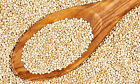 5 Lb 100   fresh  Premium Quinoa Vegan Gluten Free Non Gmo 