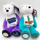 Limited Treasures State Quarter Beanie Coin Bears 2002 W tags Lot Of 1st-10th 9   