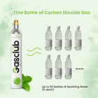 Gasclub Co2 Cylinder X 2 60l Carbonating For Sodastream Soda Maker Carbonator Us