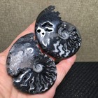 126g  2pc Natural Polishing Black Stone Sculptor Decoration Specimen Fb1873